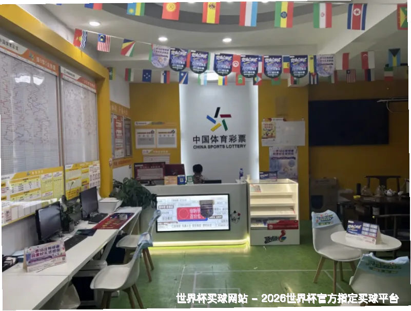 未来愿景与全球布局